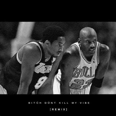 deluxe_bitch|Bitch, Don’t Kill My Vibe (Remix) (feat. JAY Z) .